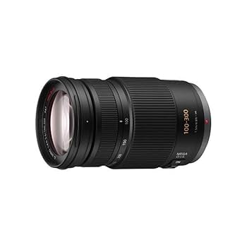 Amazon.co.jp: Panasonic H-FS100300E Lumix G Telezoom Lens